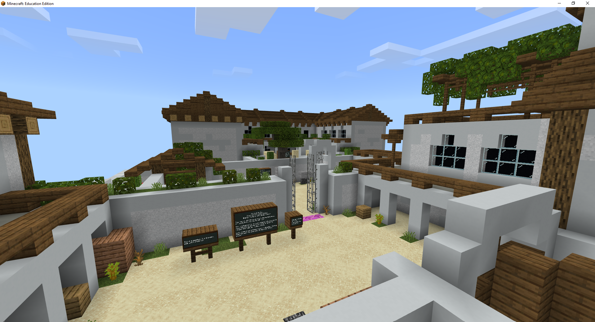 Picture of Minecraft town
